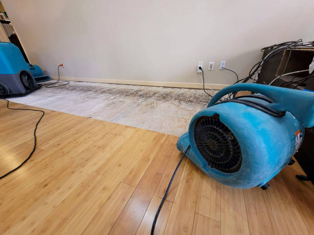 Professional Sewage Cleanup technician working in Roscoe, IL